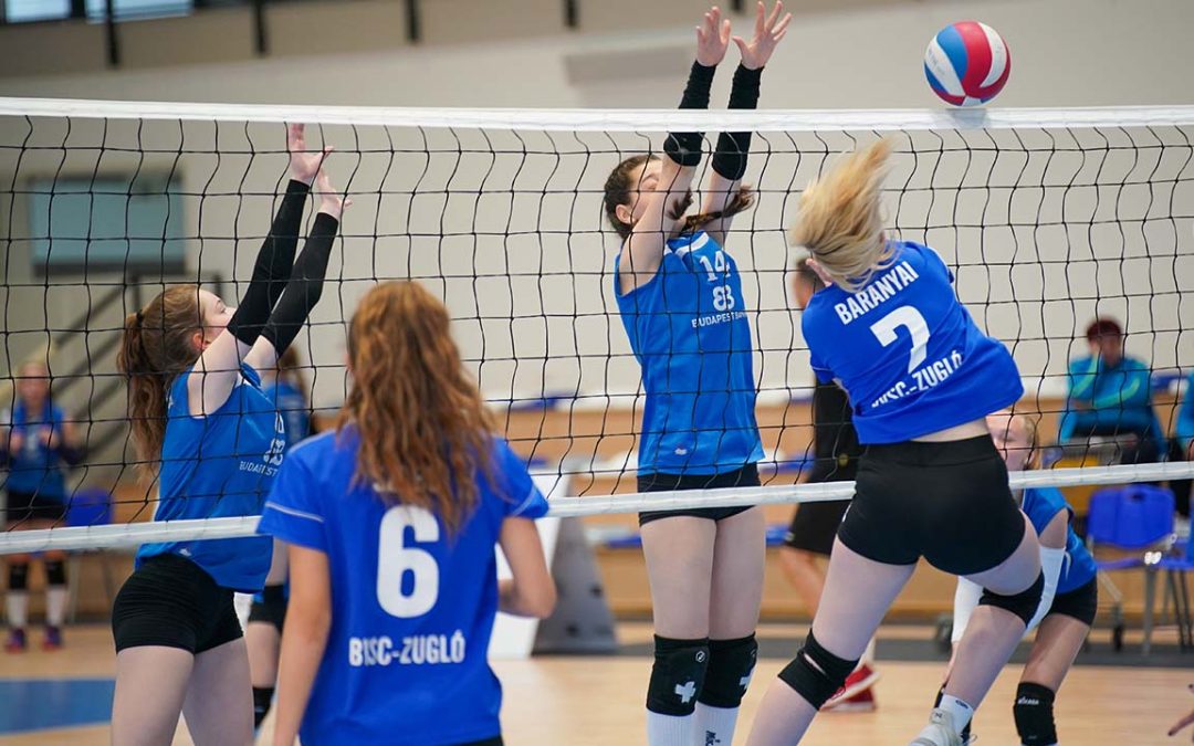 BVSC-ZUGLÓ `A` – LINAMAR – BRSE Kék