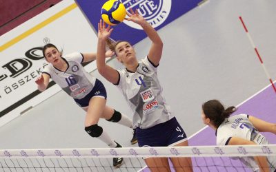 UTE – TFSE