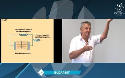 Tények és tévhitek az erőfejlesztésről – Prof. Dr. Radák Zsolt