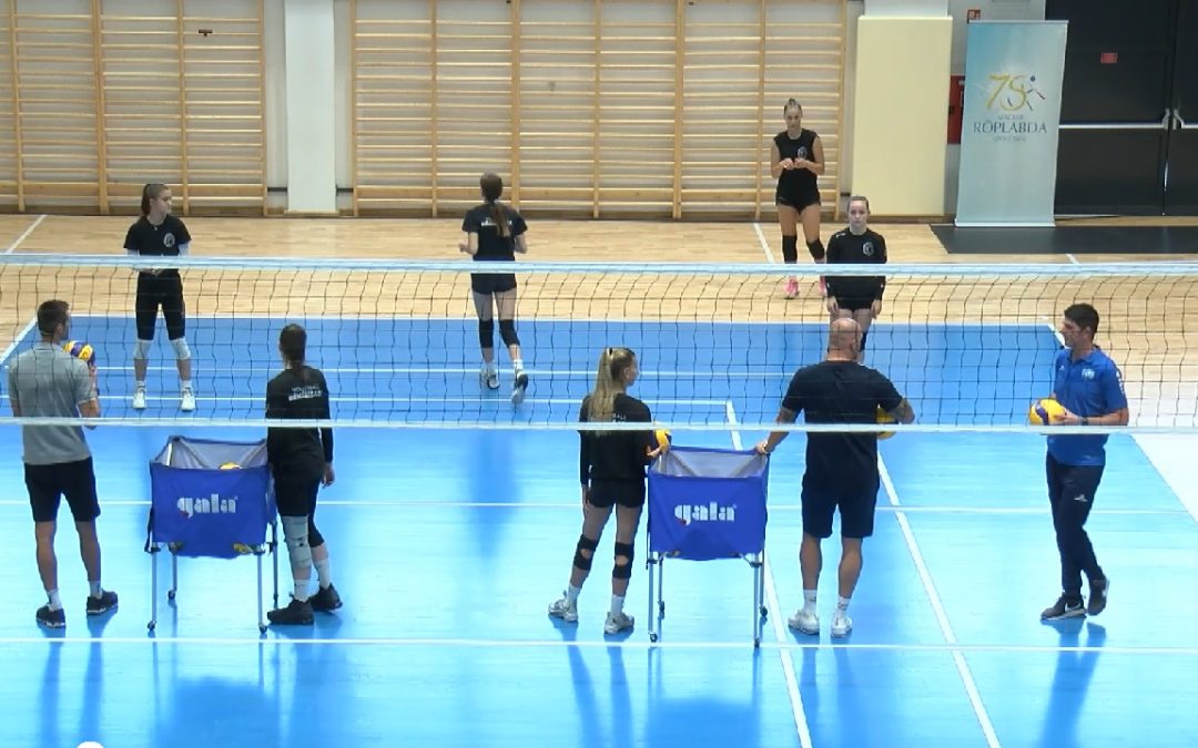 Nyitásfogadási rendszerek bemutatása és nyitásfogadás gyakorlása az edzés során (gyakorlat) – Dávid Z., Lacombe V., Leiszt M., Toronyai M.